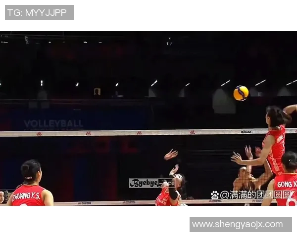 杭州排球队实力引发热议球迷观点各异引发讨论