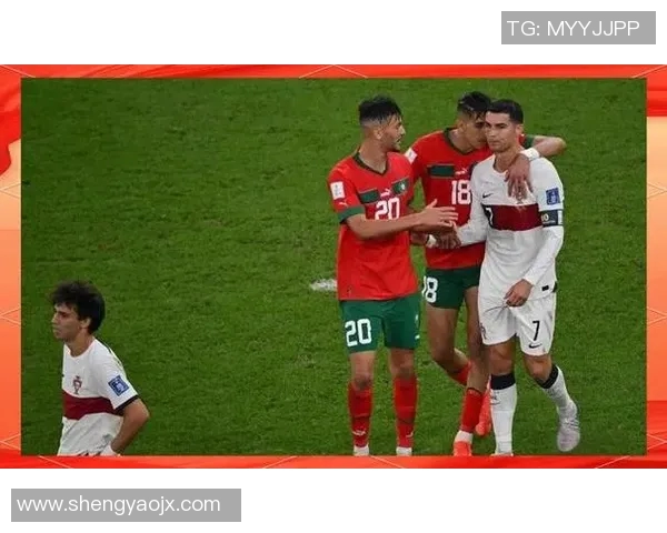 欧洲杯:葡萄牙队遗憾出局 欧洲杯:葡萄牙队遗憾出局