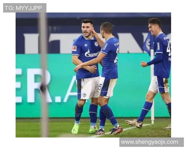 沙尔克04客场逼平勒沃库森，力克对手保持不败状态