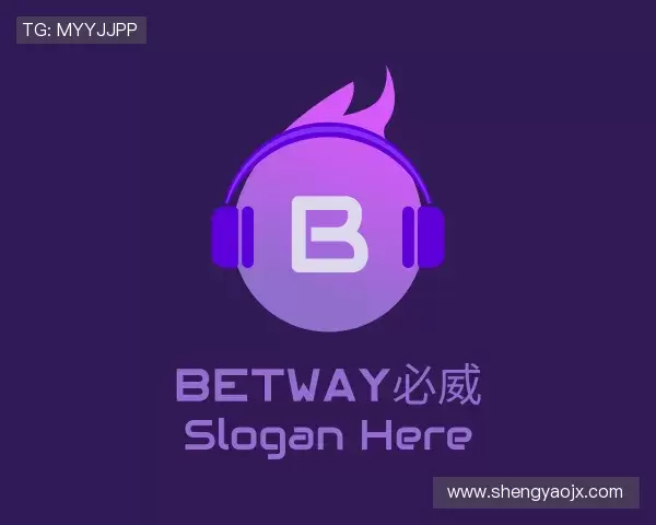 了解必威西汉姆官网