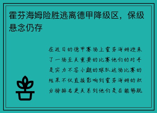 霍芬海姆险胜逃离德甲降级区，保级悬念仍存